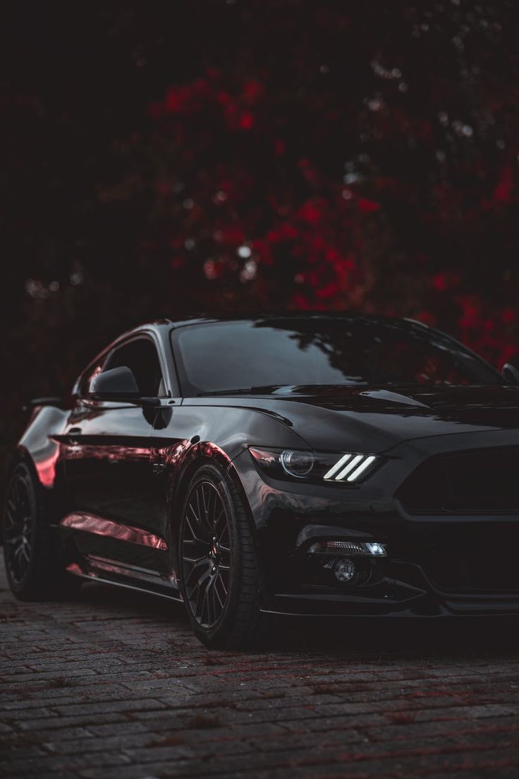 736x1103 Cool Ford Mustang Car Picture