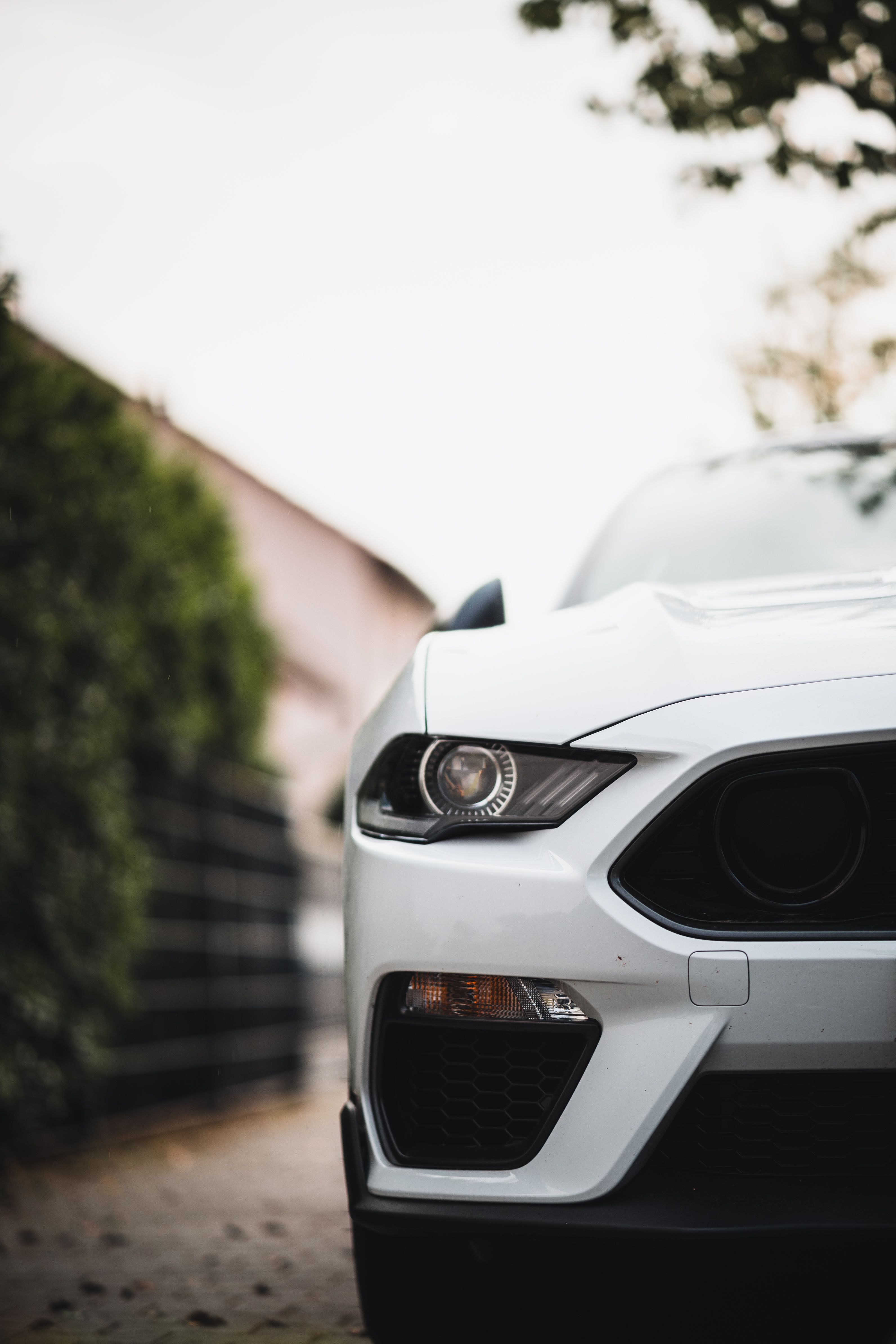 3185x4777 White Ford Mustang Parked in Driveway · Free