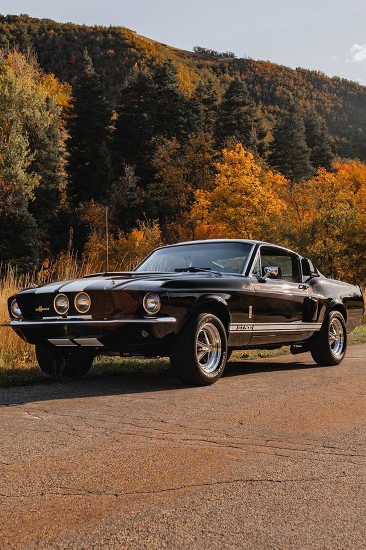 736x1104 Ford Mustang GT500