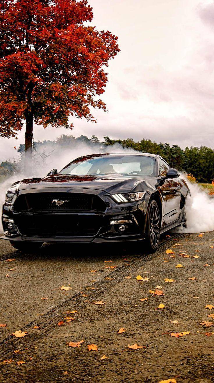 736x1318 Mustang Aesthetic Wallpaper