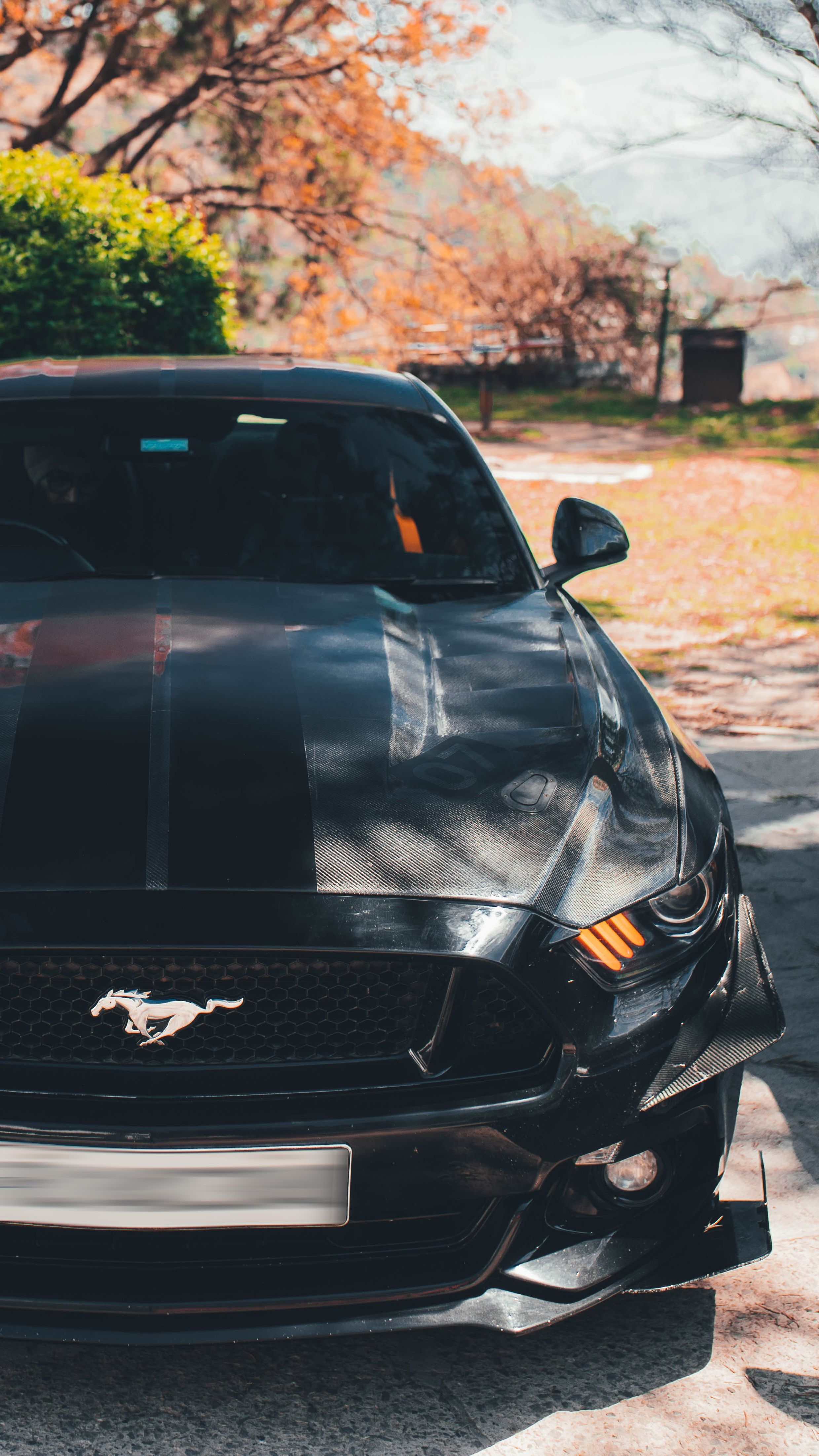 2479x4406 4k Wallpaper Mustang Car Photo, Download The BEST Free 4k Wallpaper Mustang Car & HD Image