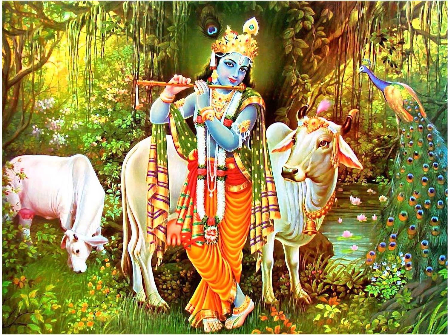 1500x1123 DivineDesigns 61 cm Krishna Ji with Gau Mata Vinyl Sticker Self Adhesive Sticker
