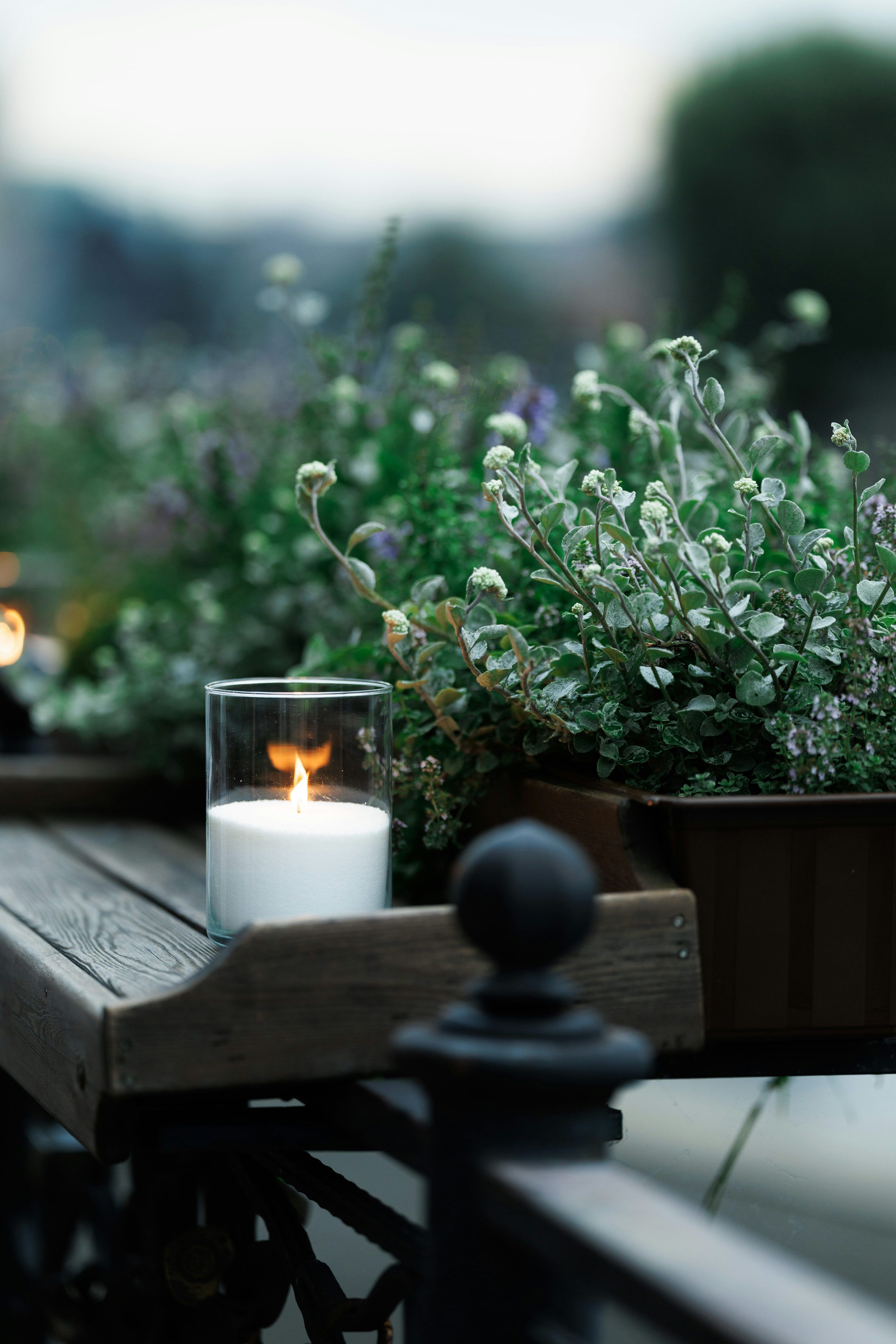 3000x4500 A lit candle and greenery creates a cozy ambiance