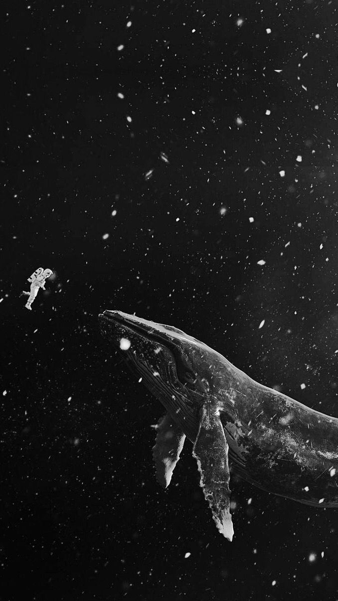 678x1206 Astronaut Wallpaper For A Space Inspired Room. Whale Wallpaper Black, Whale And Astronaut In Space, Black And White