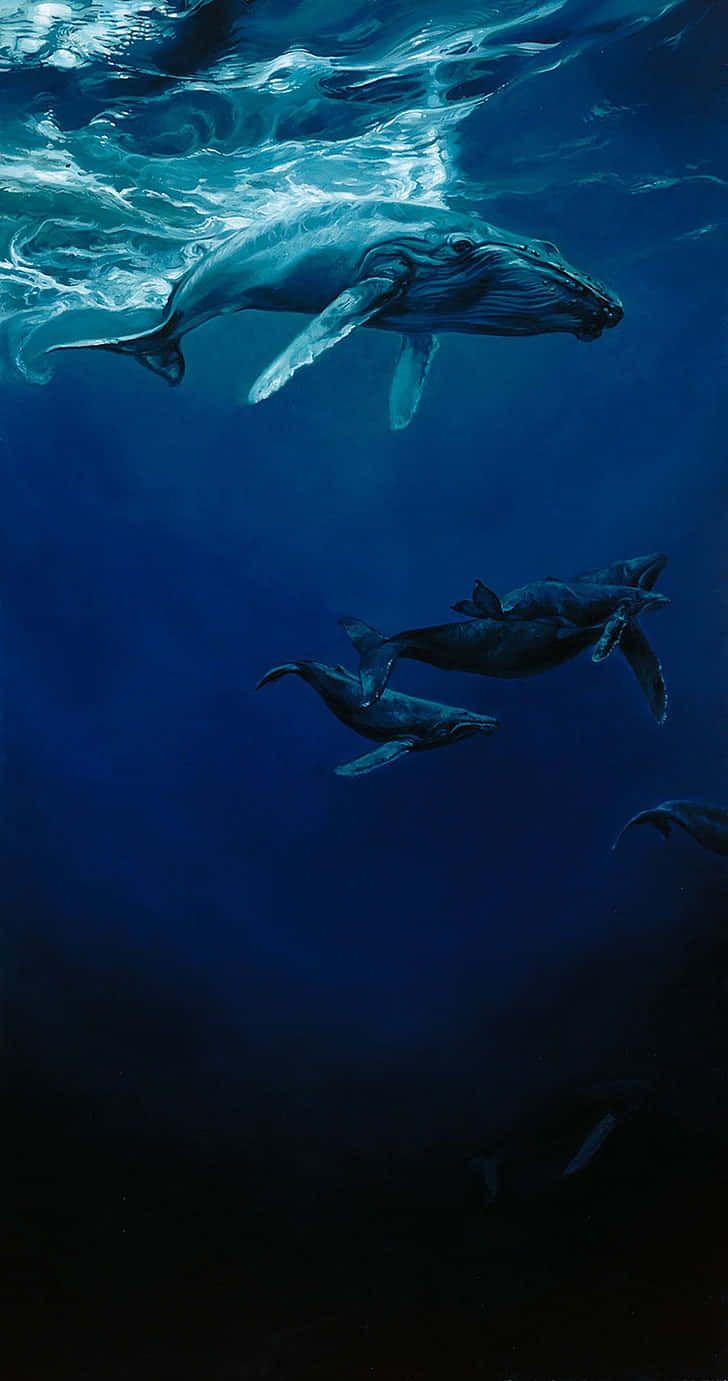 728x1381 Download a painting of a humpback whale and its young Wallpaper