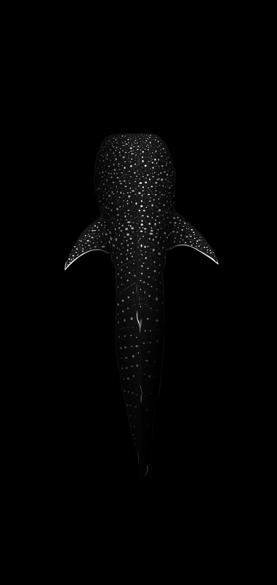970x2048 Whale Shark iPhone Wallpaper