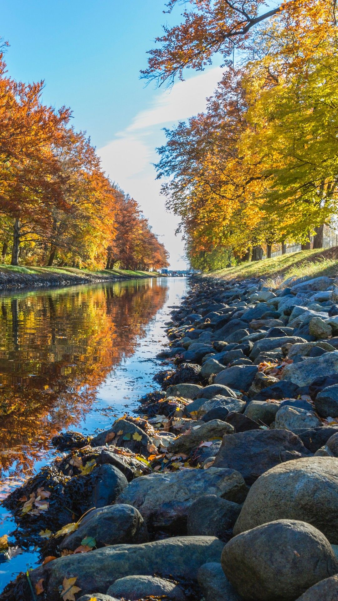 1080x1920 River With Stones Between Colorful Autumn Trees In Forest During Daytime 4K 5K HD Nature Wallpaper
