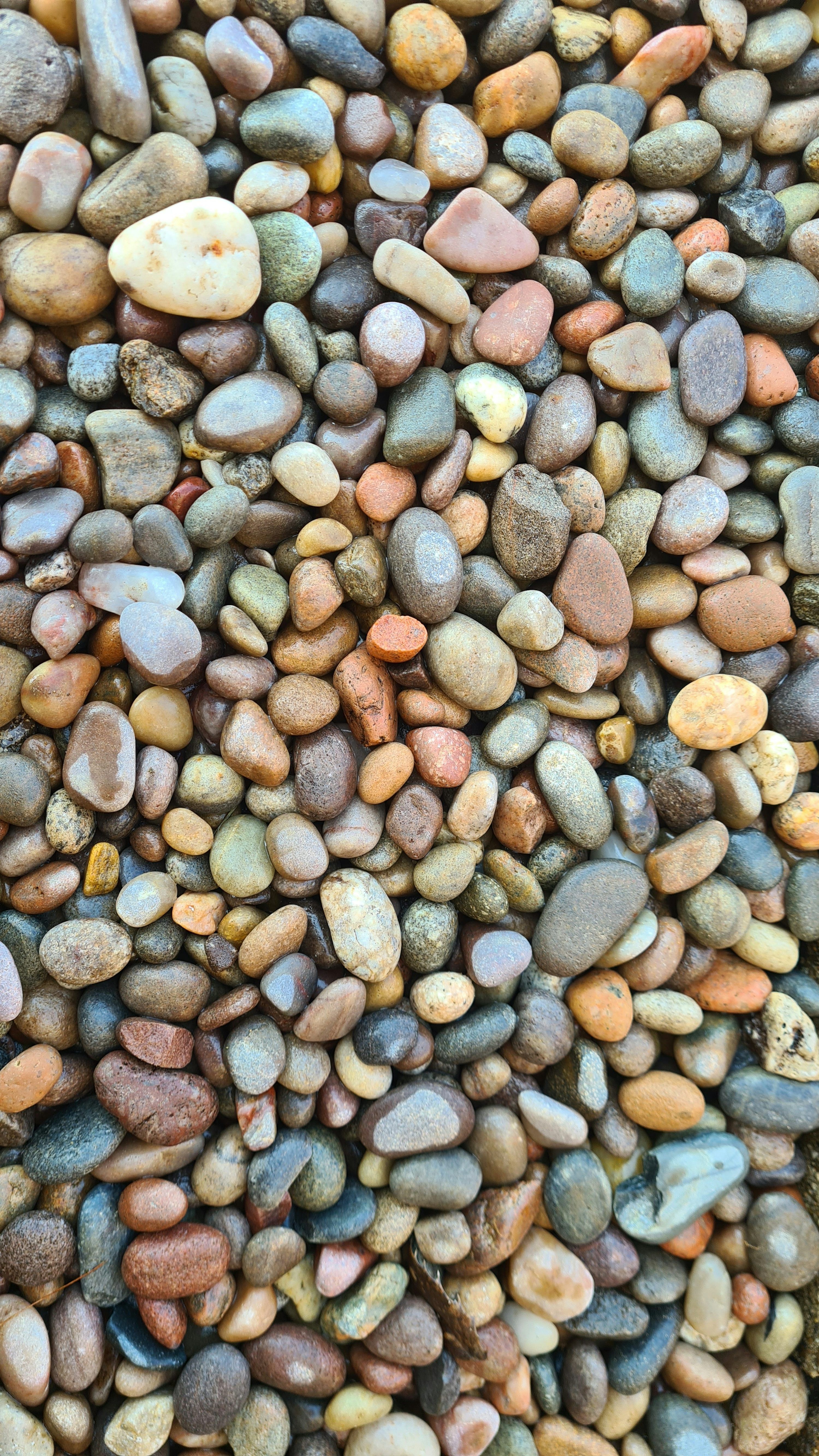 3000x5333 River Stones Picture. Download Free Image