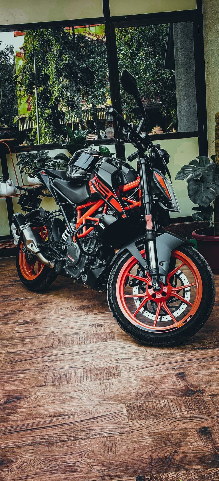 736x1614 Duke 250