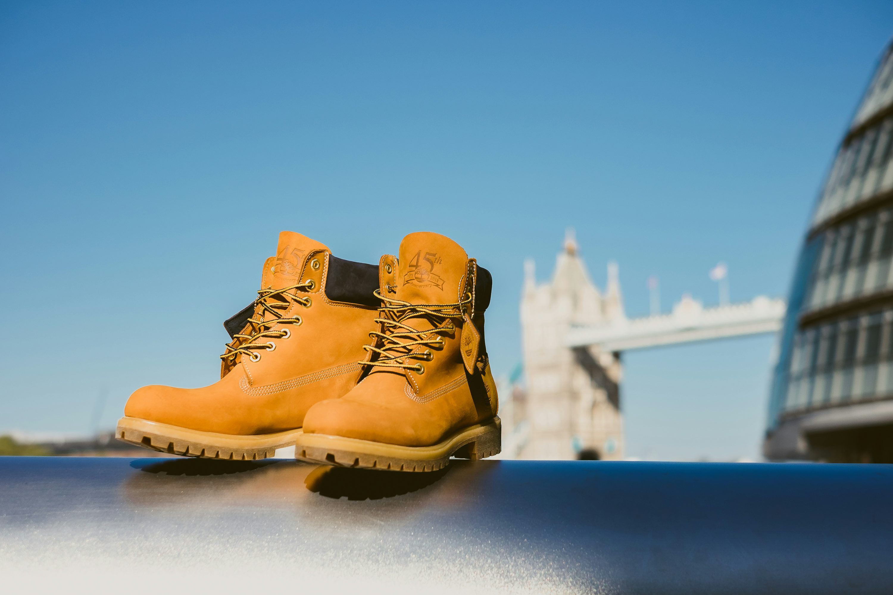3000x2000 Timberland Picture. Download Free Image