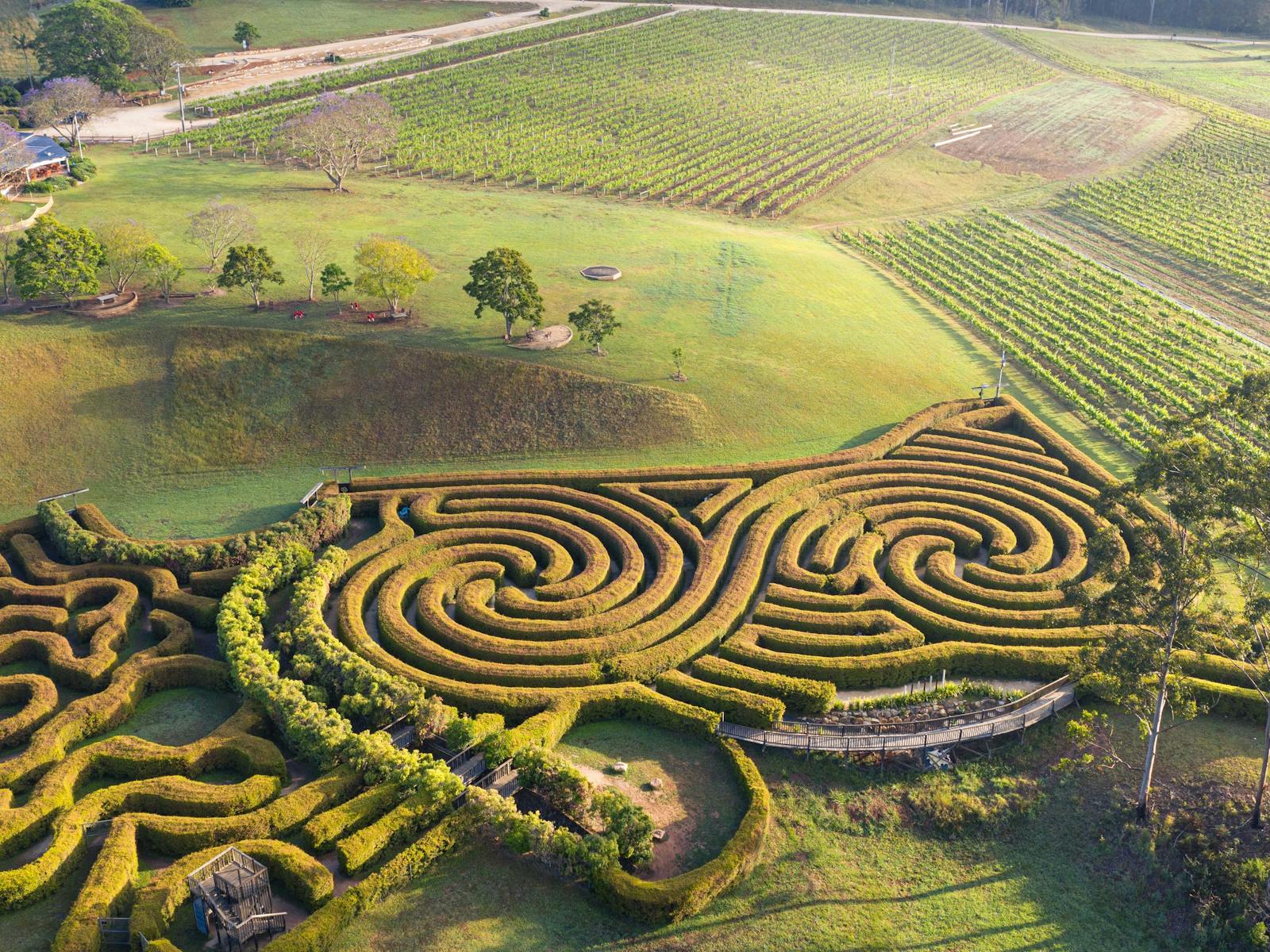 1600x1200 Bago Maze and Wine. NSW Holidays & Accommodation, Things to Do, Attractions and Events