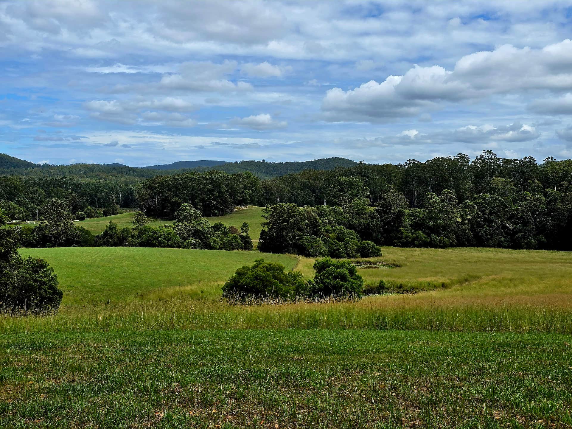 1920x1440 Bago Maze & Wine Mountain View Camp in Herons Creek, New South Wales
