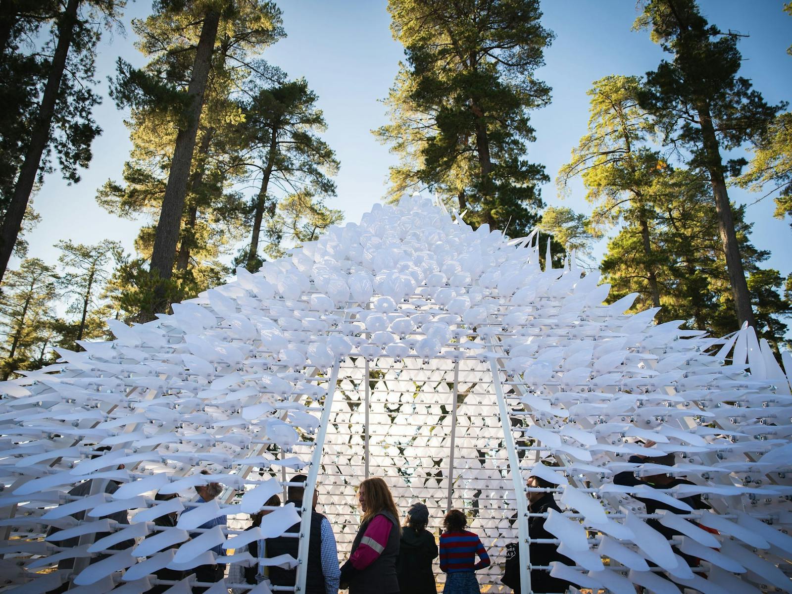 1600x1200 Bago Sculpture Forest. NSW Holidays & Accommodation, Things to Do, Attractions and Events