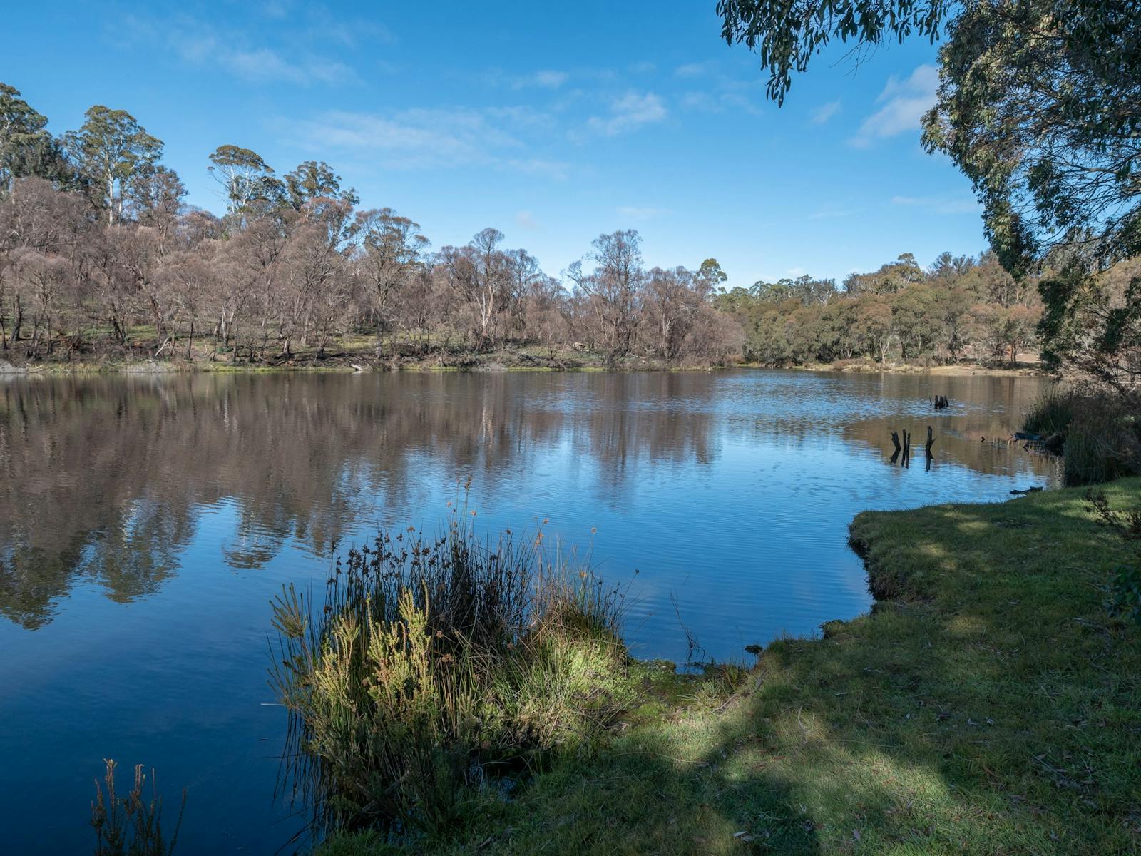 1600x1200 Paddys River Dam, Bago State Forest. NSW Holidays & Accommodation, Things to Do, Attractions and Events
