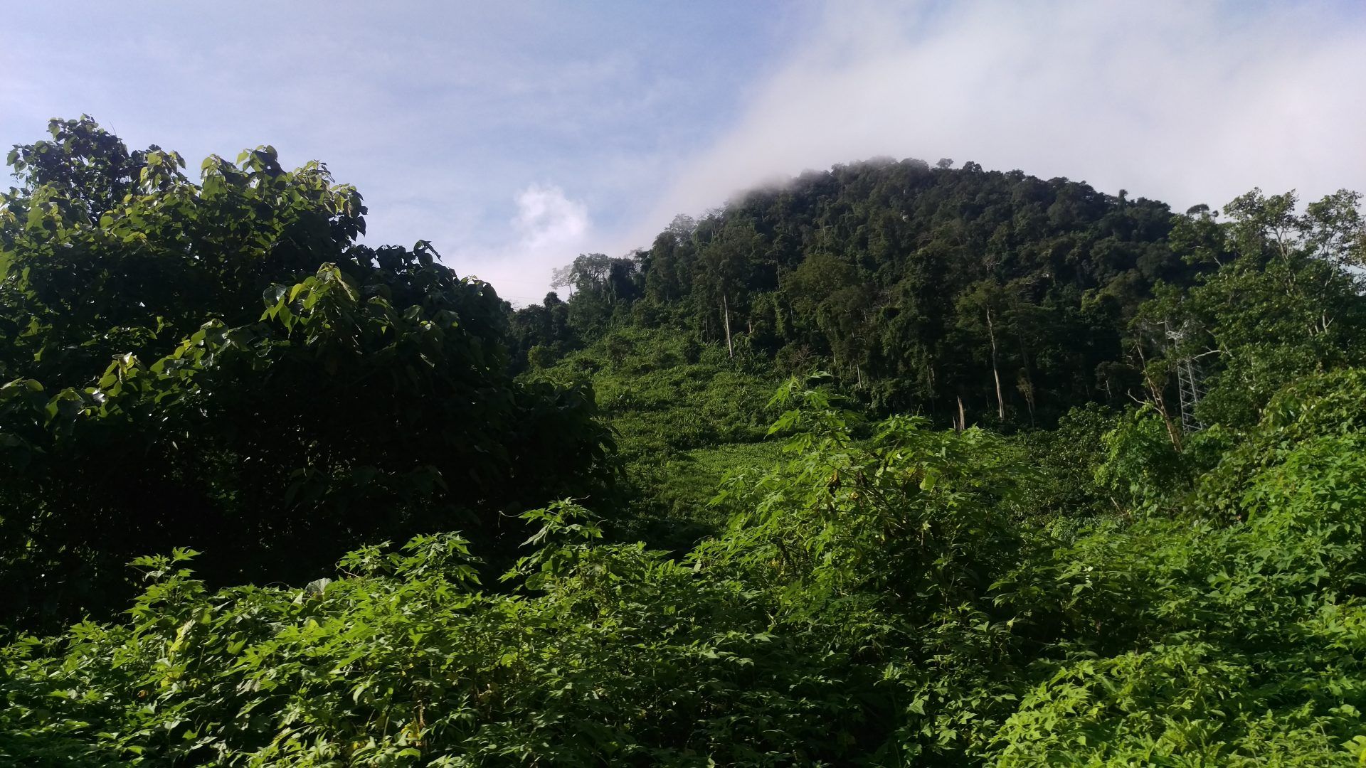 1920x1080 Myanmar JREDD+ Program Global Capital