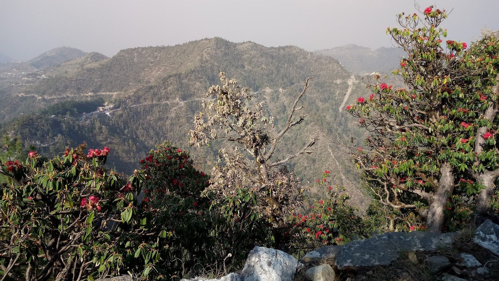 1600x900 Kanatal to Visit, Activities & Travel Tips
