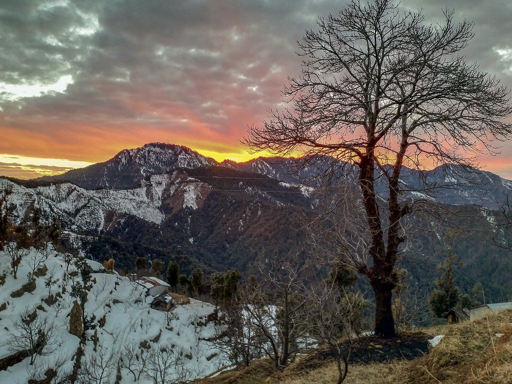 1024x768 Best Time to Visit Kanatal: Weather, Seasons & Temperature