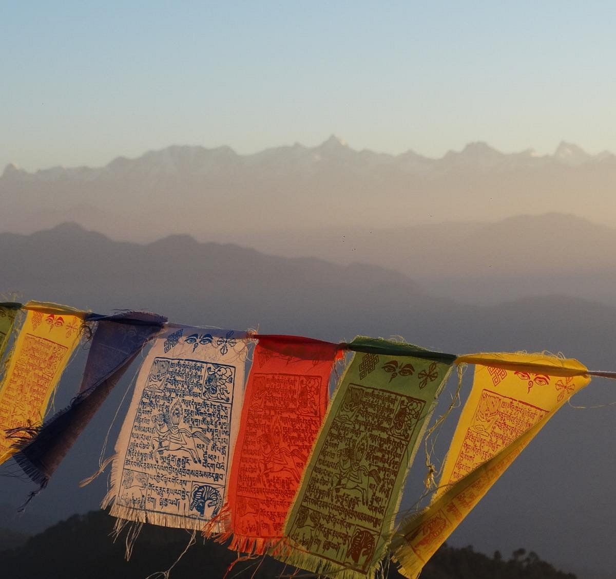 1200x1127 LIVING KANATAL Reviews (India)