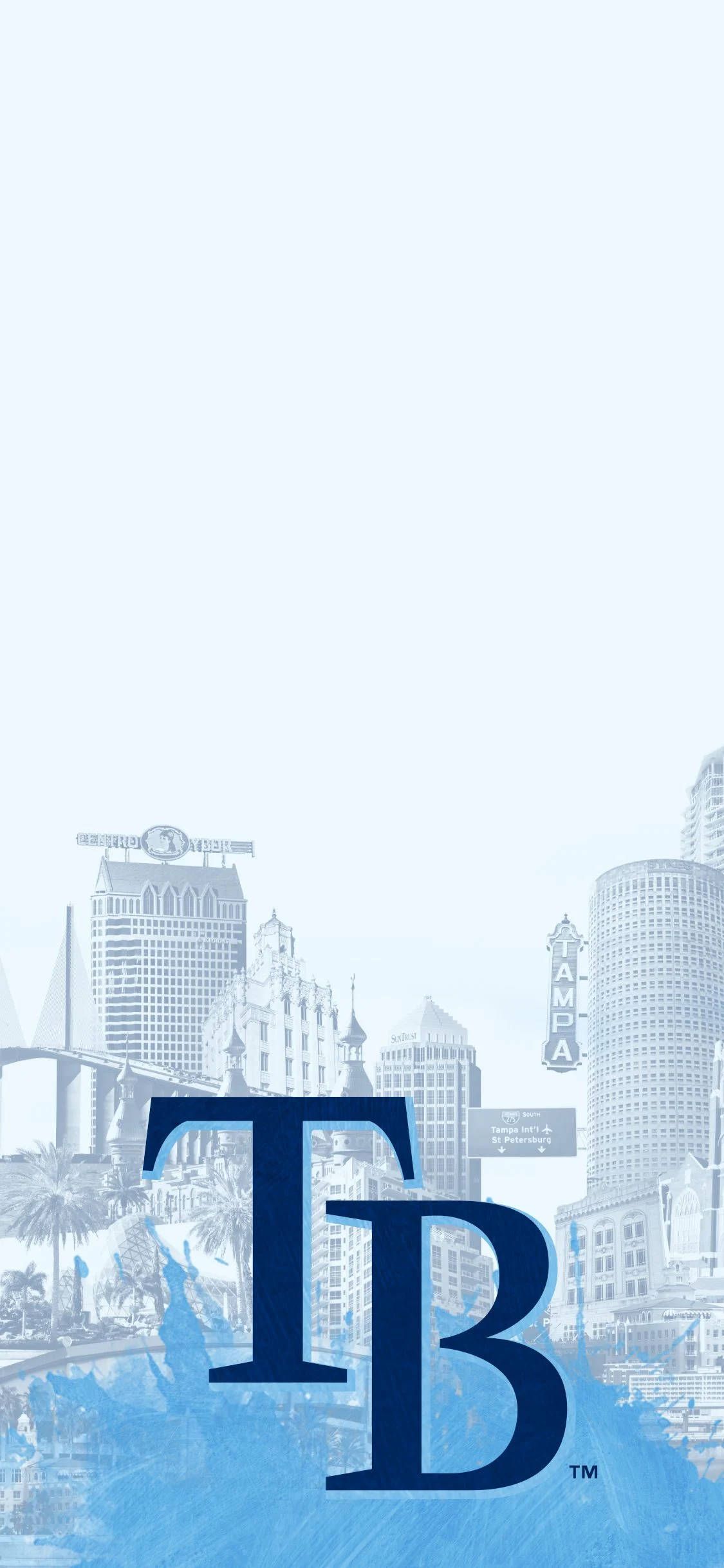 1125x2436 Download Tampa Bay Rays Buildings Art Wallpaper
