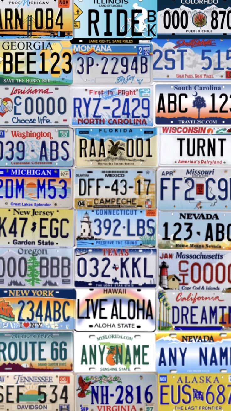 736x1308 License Plate Wall Art. Funny license plates collage, License plate background, License plate printable