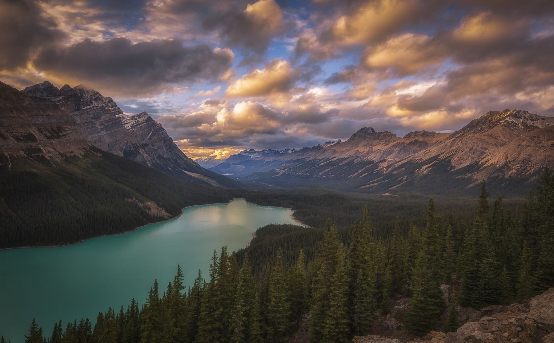 1800x1116 Peyto Lake At Dusk Wallpaper