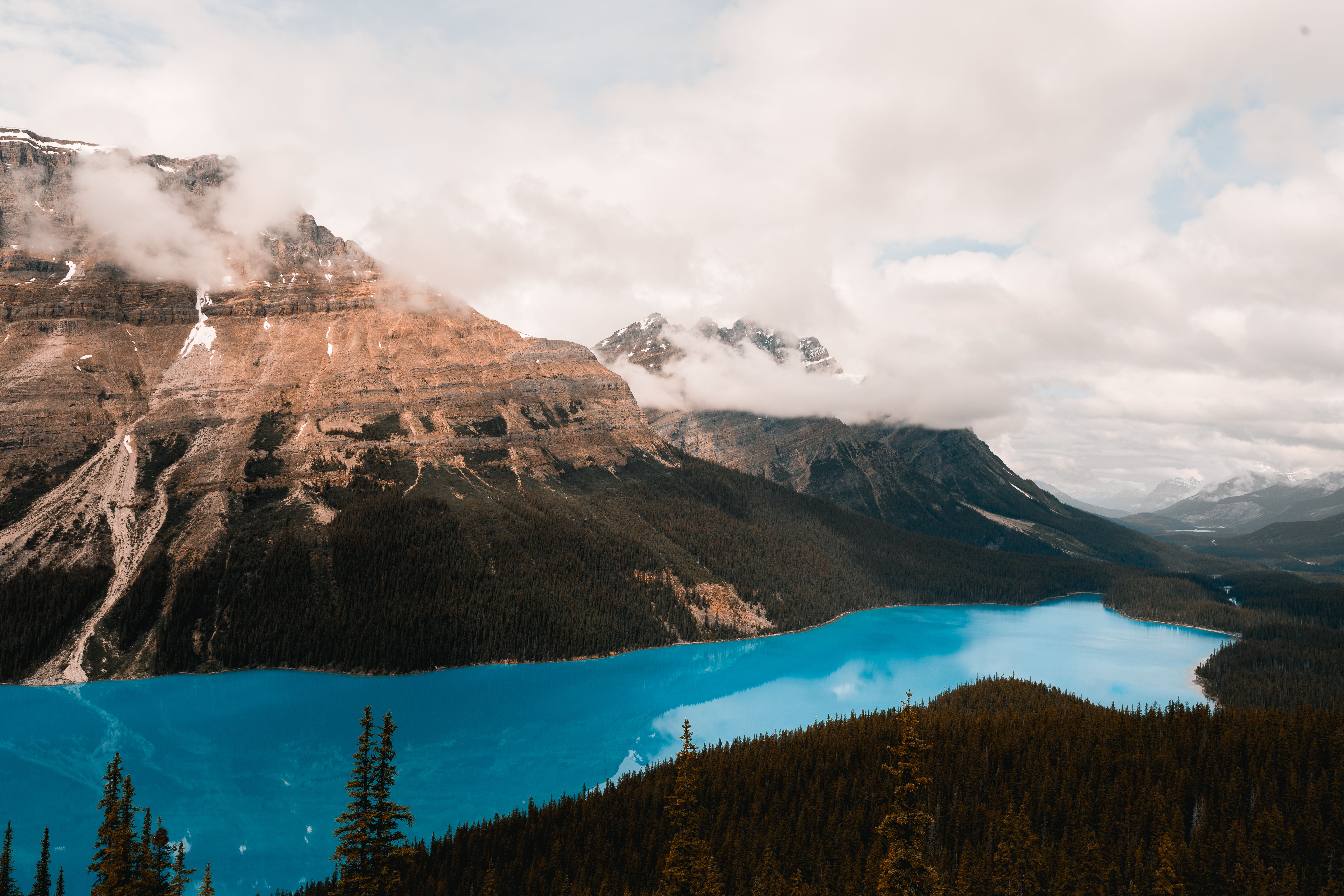 7952x5304 Peyto Lake Photo, Download The BEST Free Peyto Lake & HD Image