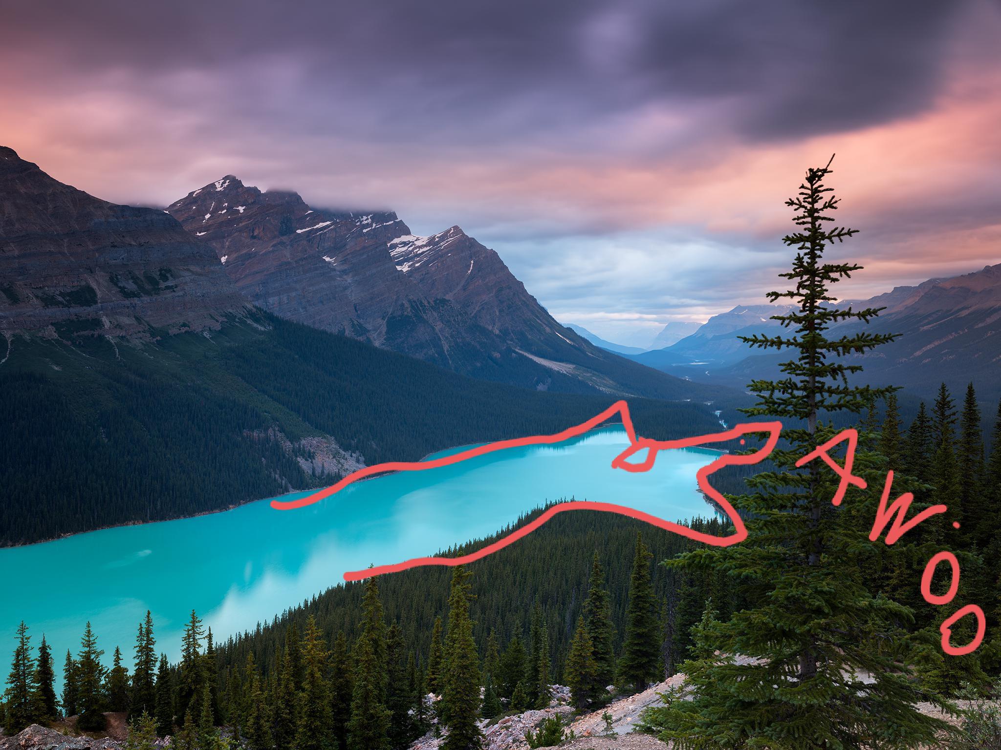 2048x1536 Peyto Lake you learn the lake looks like a wolf you can never 'unsee' it. [OC] [2048x1536]