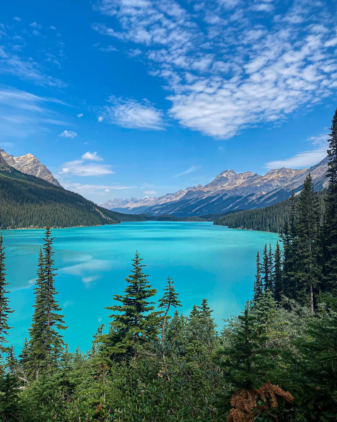 1080x1350 Peyto Lake