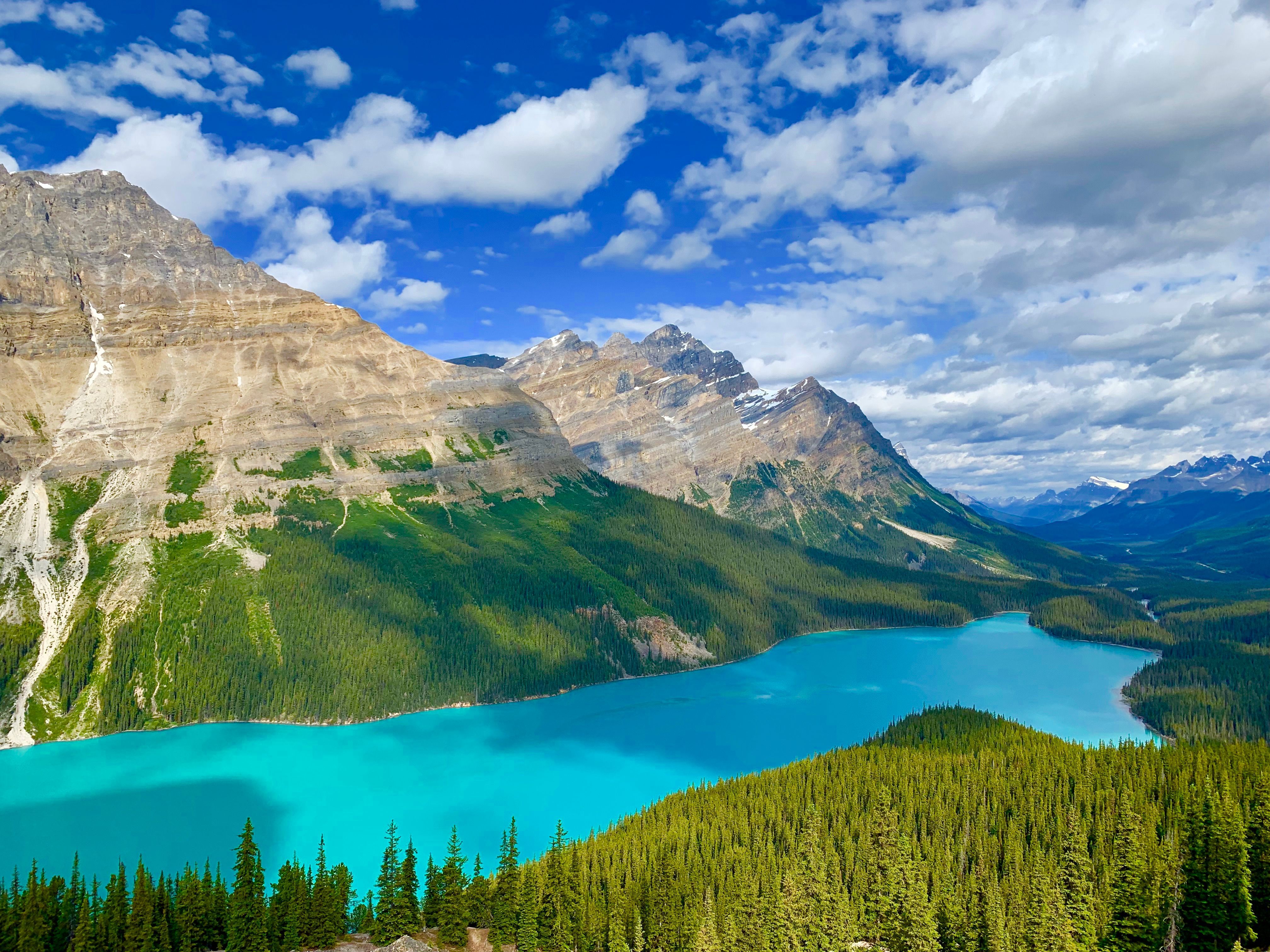 4032x3024 Peyto Lake Photo, Download The BEST Free Peyto Lake & HD Image