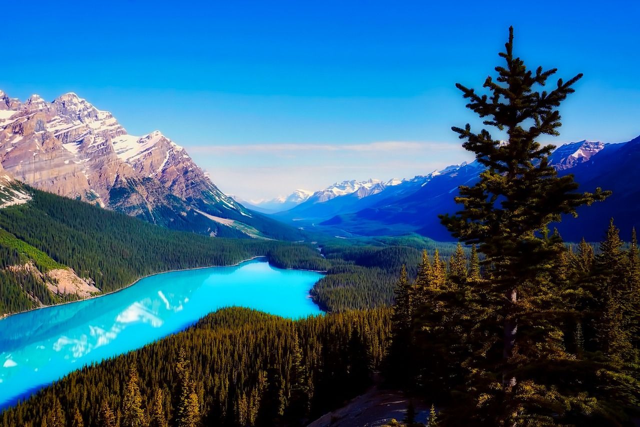 1280x854 Peyto Lake Canada Mountains