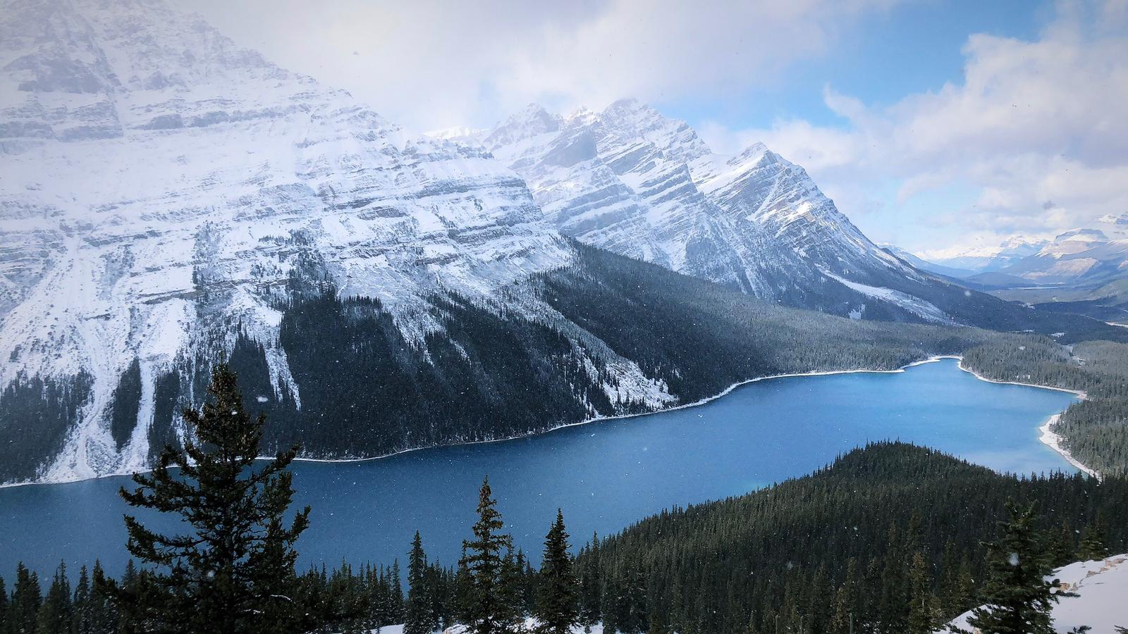 1600x900 Winter magic at Peyto lake in Canada Said Go Travel