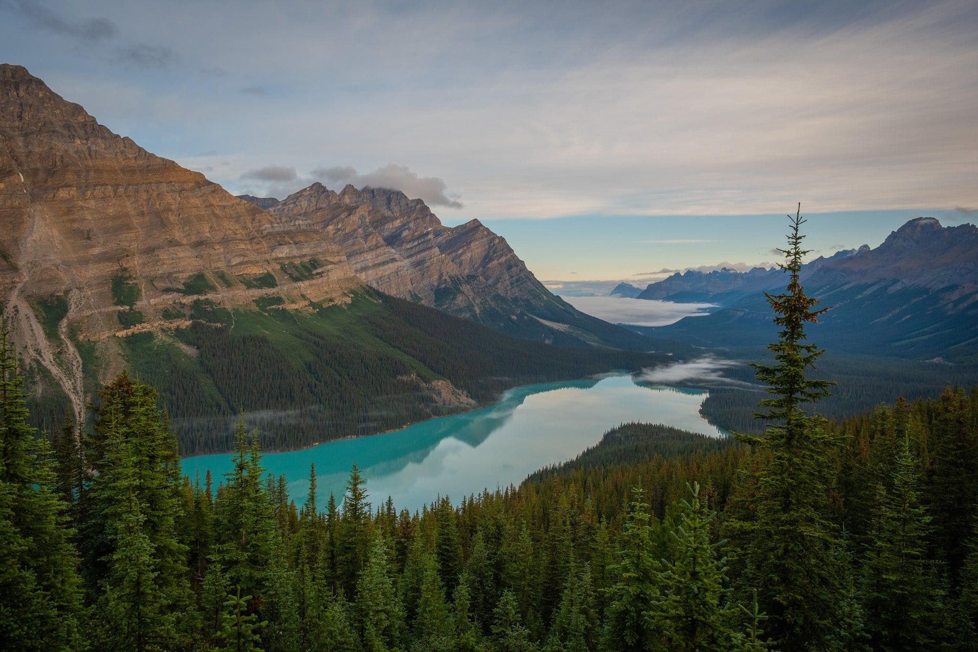 2000x1333 Things to Know BEFORE Visiting Peyto Lake