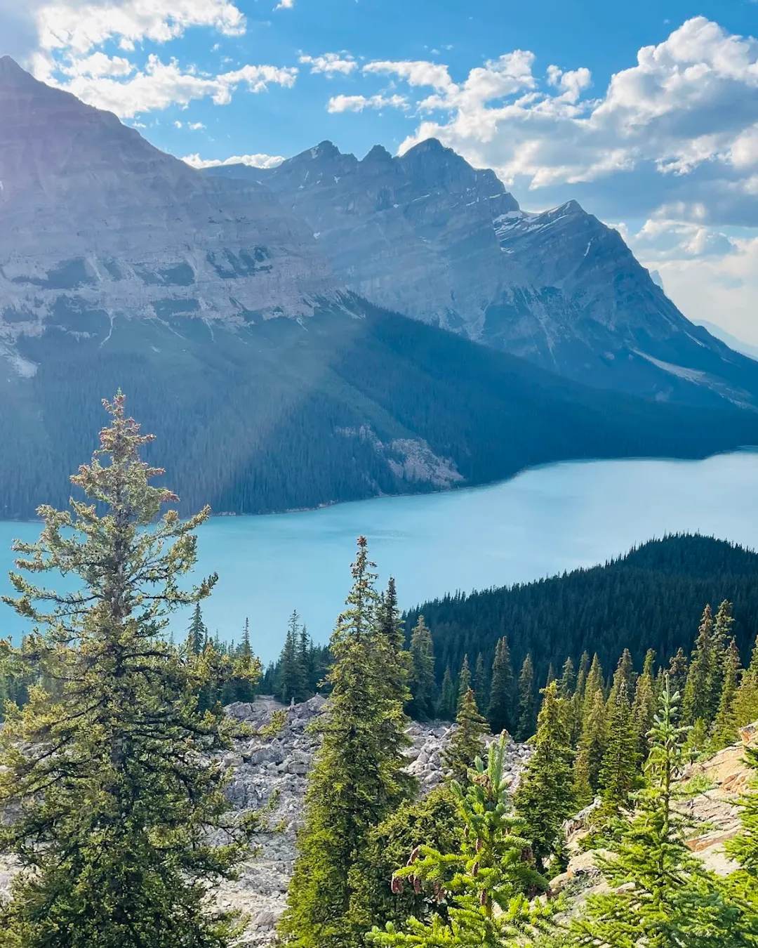 1080x1350 Peyto Lake Parks, United States