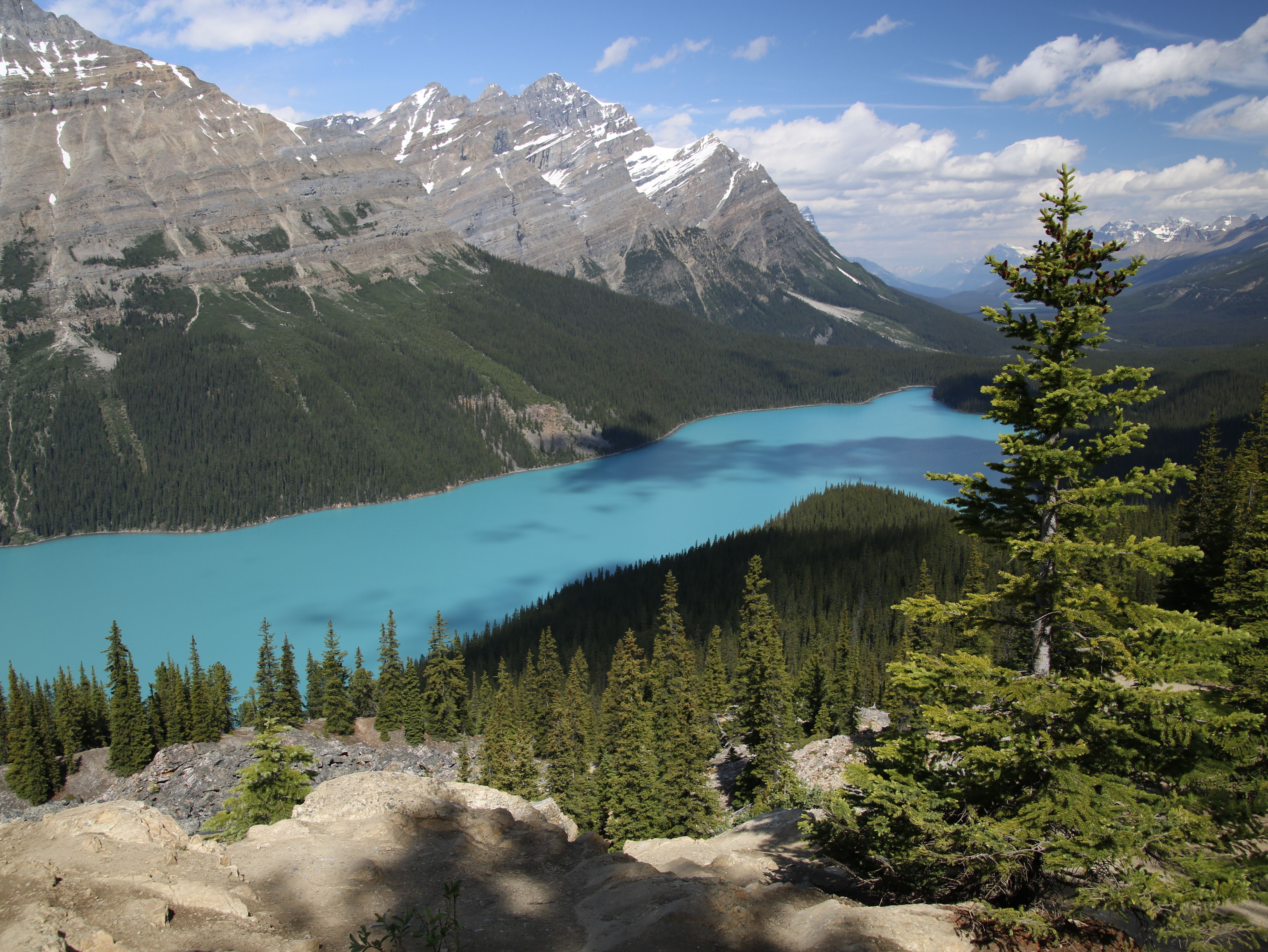 5328x4000 Peyto Lake Photo, Download The BEST Free Peyto Lake & HD Image