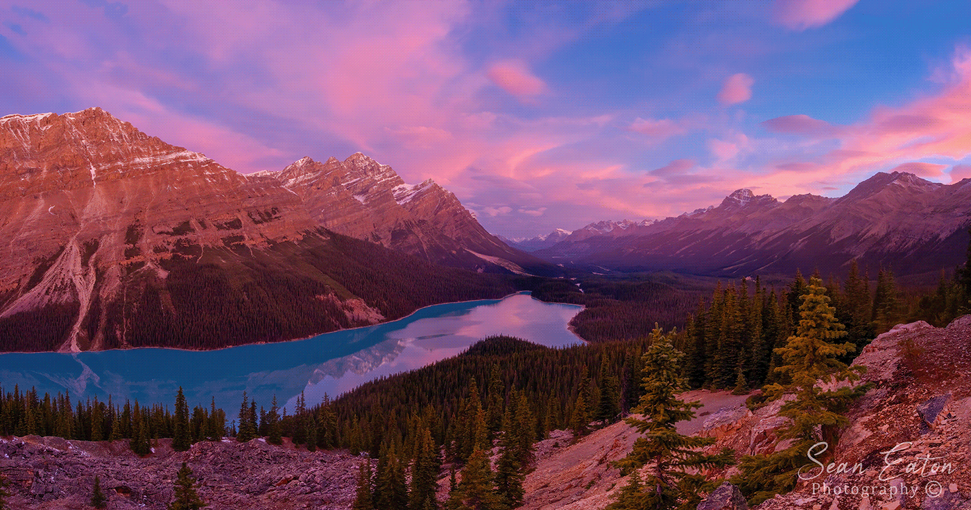 1400x736 Peyto Lake Sunrise (2). Image - Behance