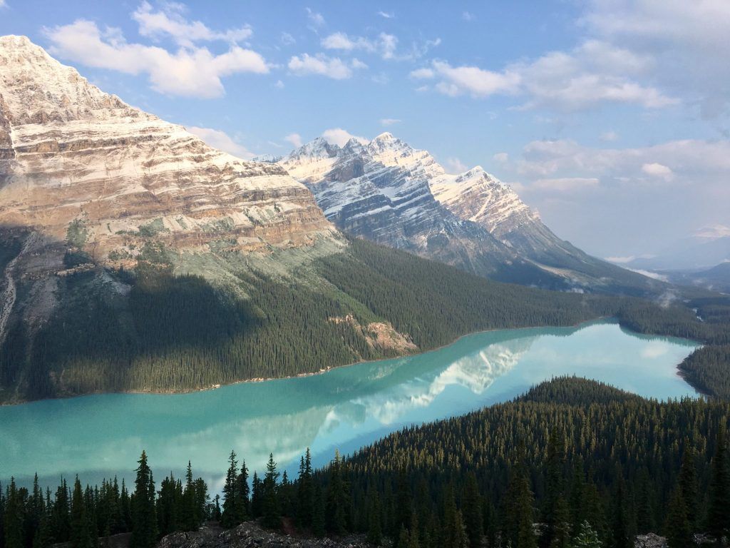 1024x768 Peyto Lake