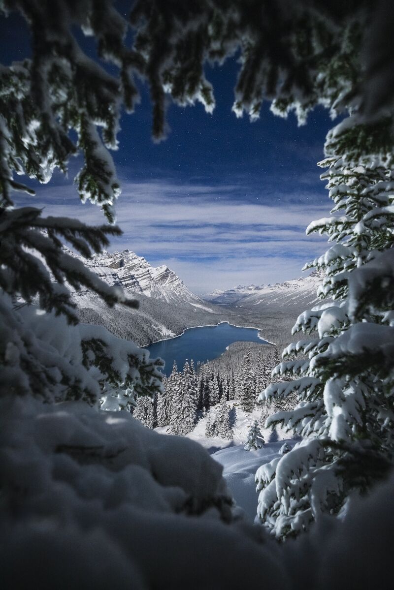 800x1199 Moonlit night at Peyto Lake. Such a magical time of year in Banff National Park. It's always worth missing out on a bit of sleep to capture that first blast of winter