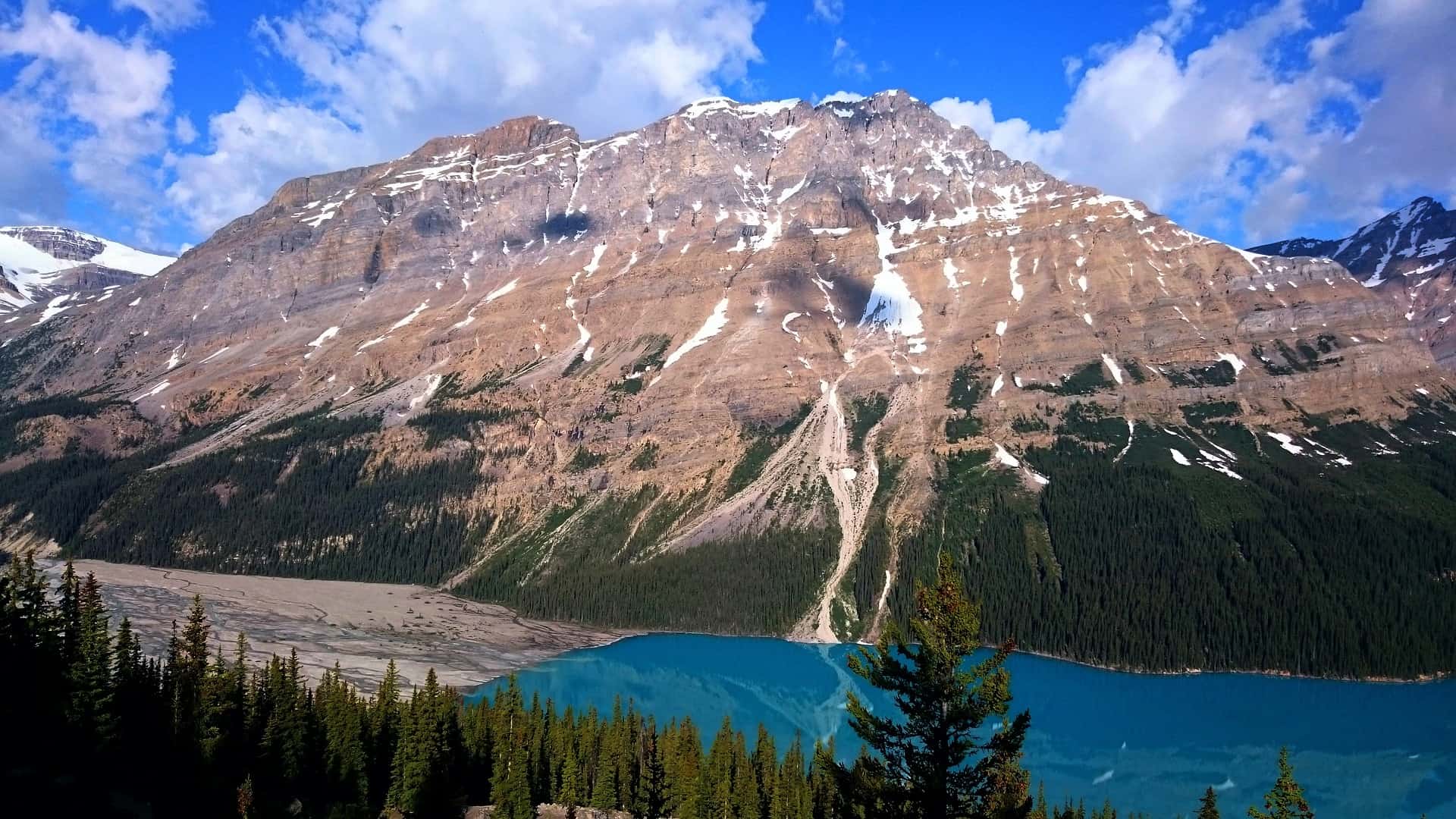 1920x1080 Things to Know BEFORE Visiting Peyto Lake