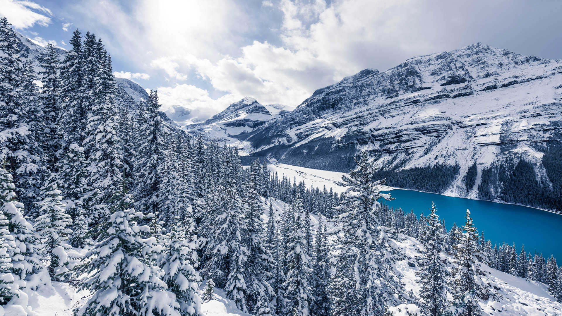 1920x1080 Winter at Peyto Lake, Banff National Park in the Canadian Rockies, Alberta, Canada. Windows Spotlight Image