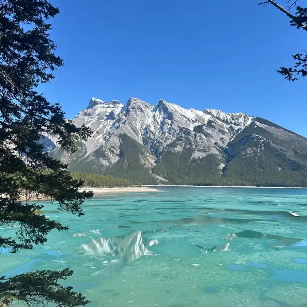 1000x1000 Lake Louise, Bow Lake, Emerald Lake And Peyto Lake National Park 1 Day Tour [Chinese. English]