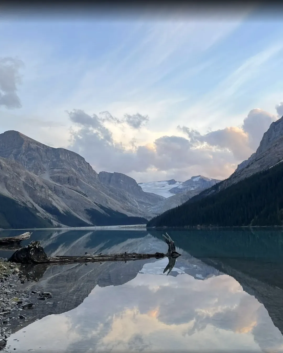 1080x1350 Peyto Lake Shore (North end) National Park, Canada