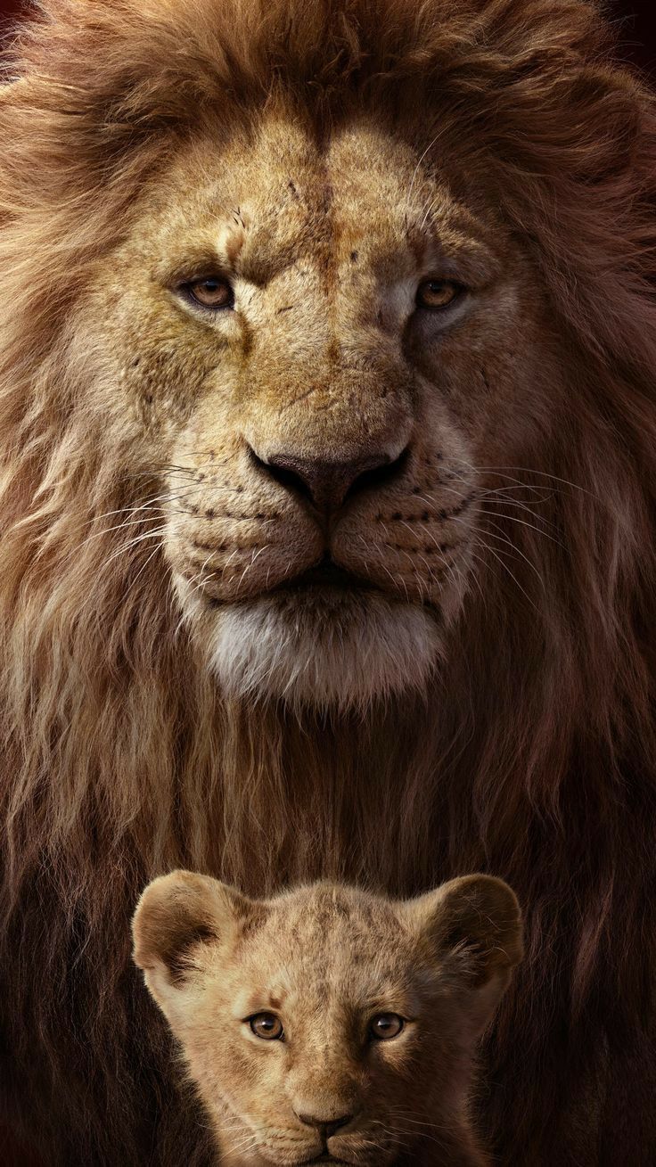 736x1309 King Lion With Baby Lion