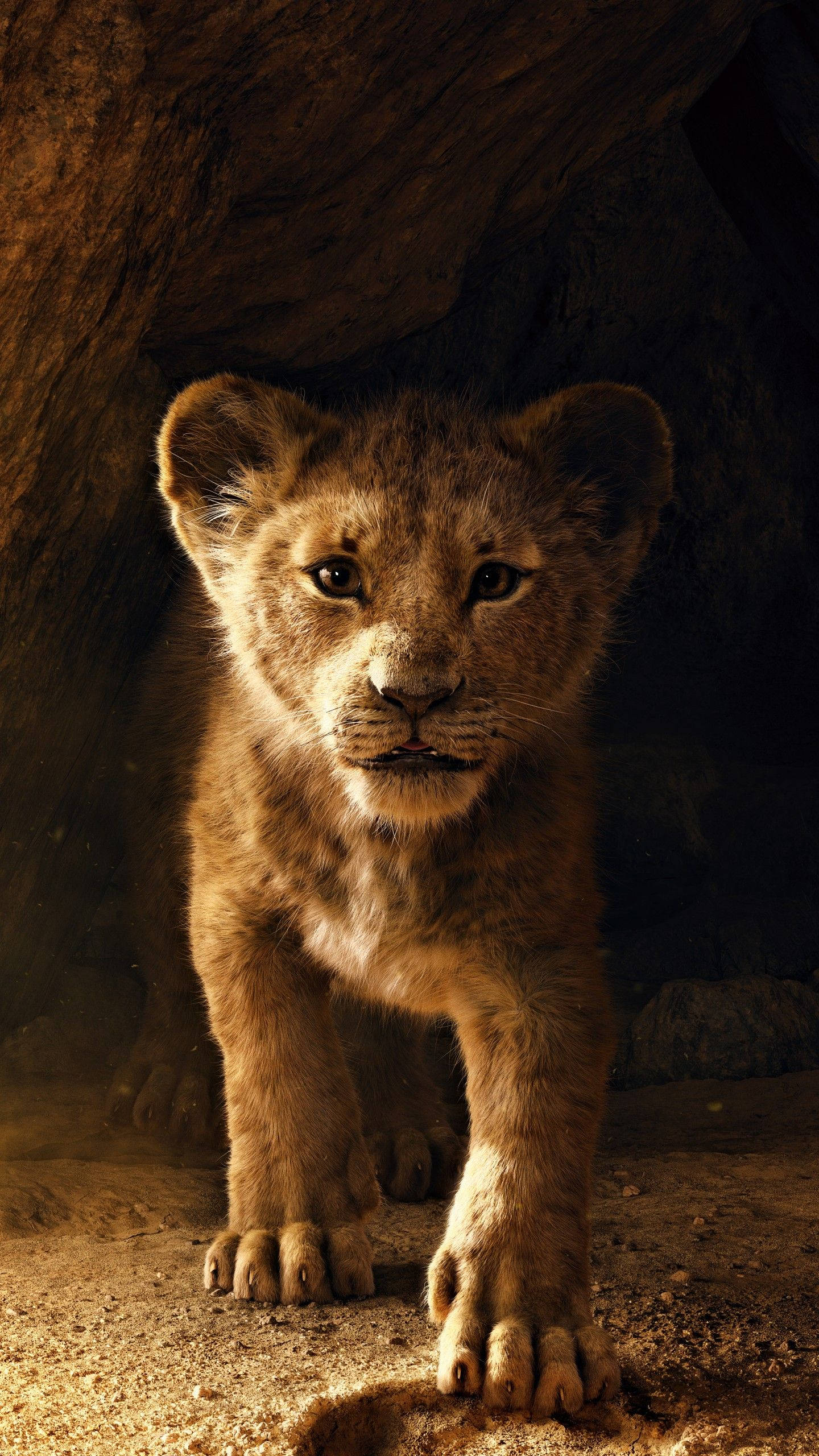 1440x2560 Download Adorable Baby Simba Wallpaper