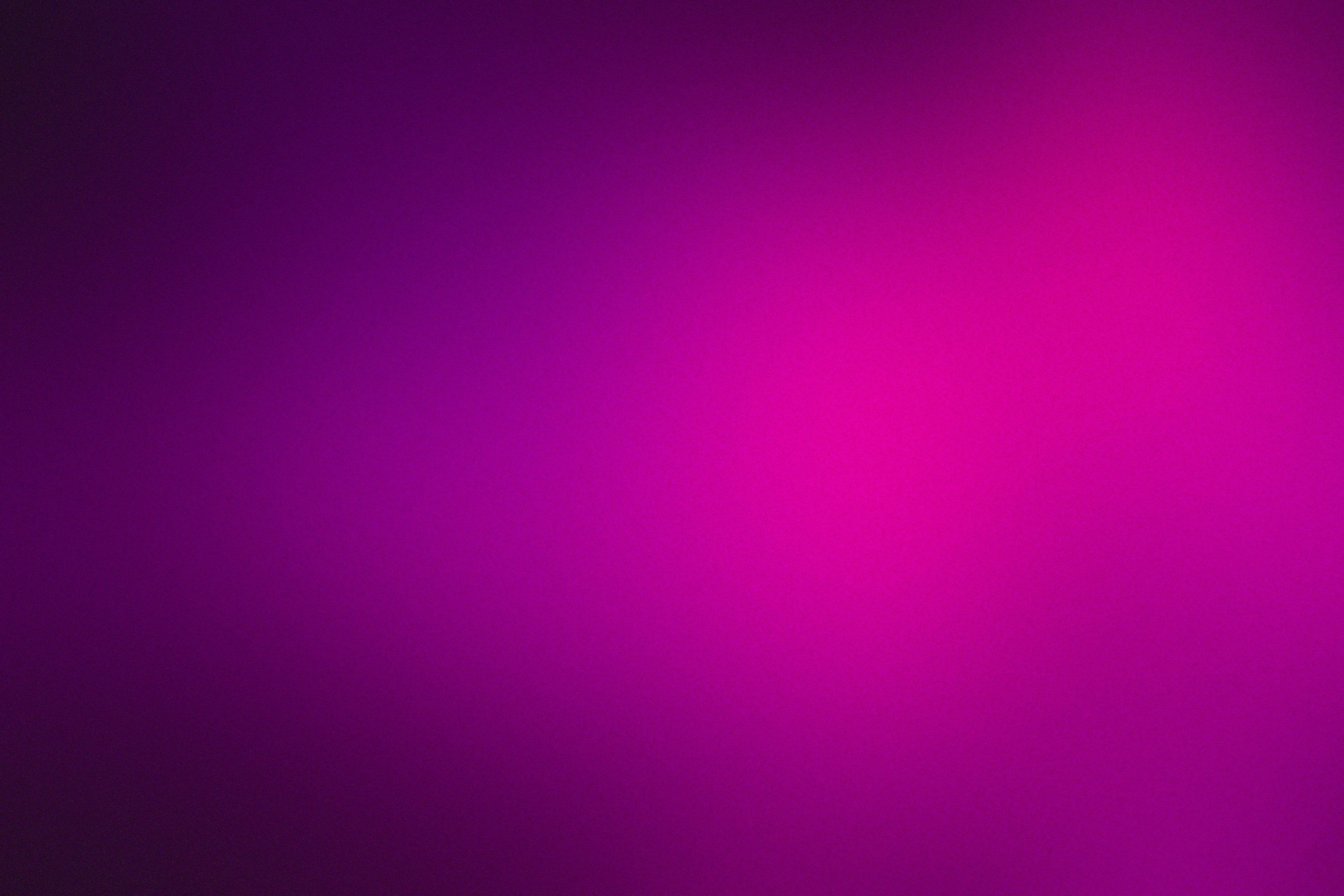 3000x2000 Magenta Picture. Download Free Image