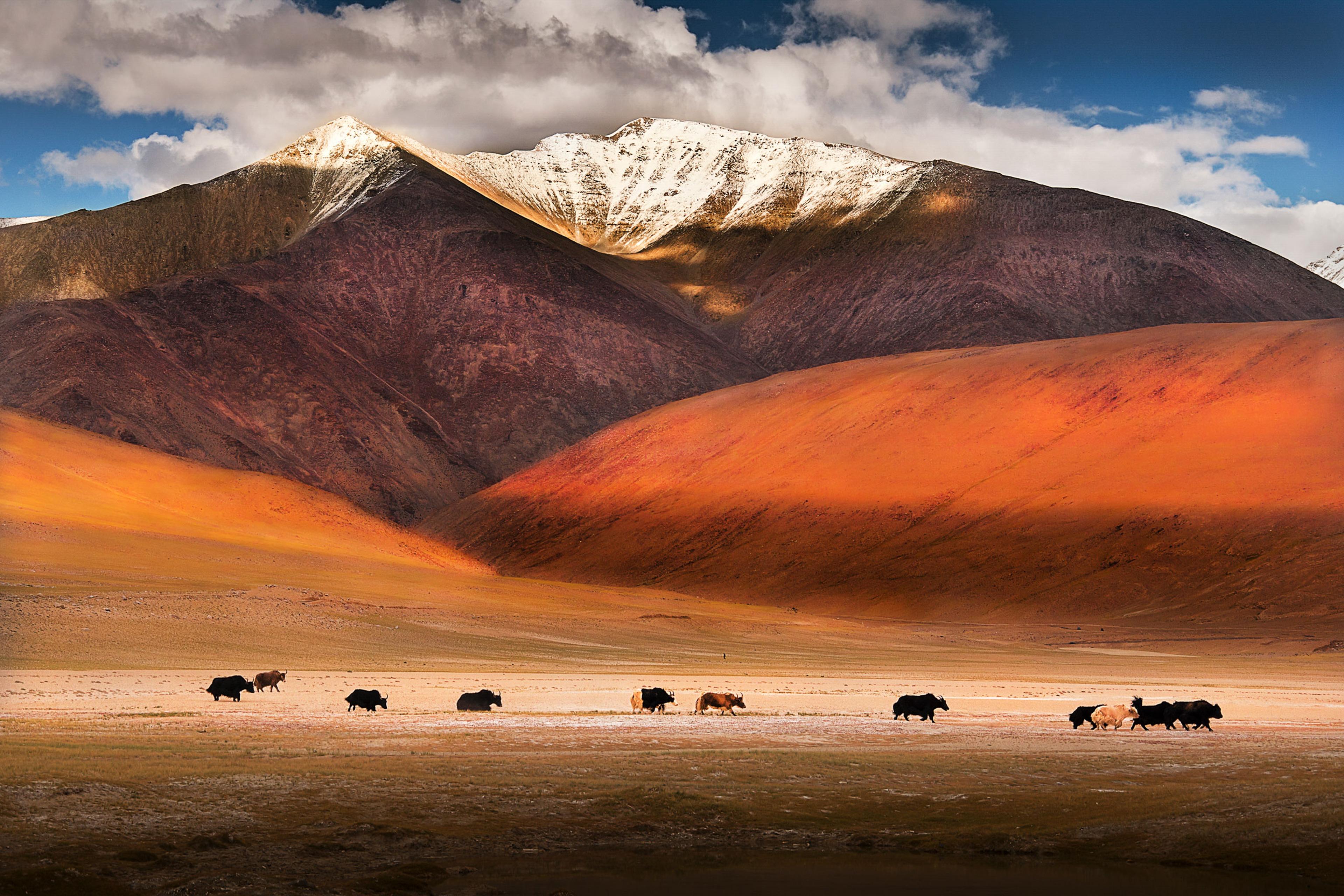 3840x2560 Ladakh, India: World's Greatest Places 2023