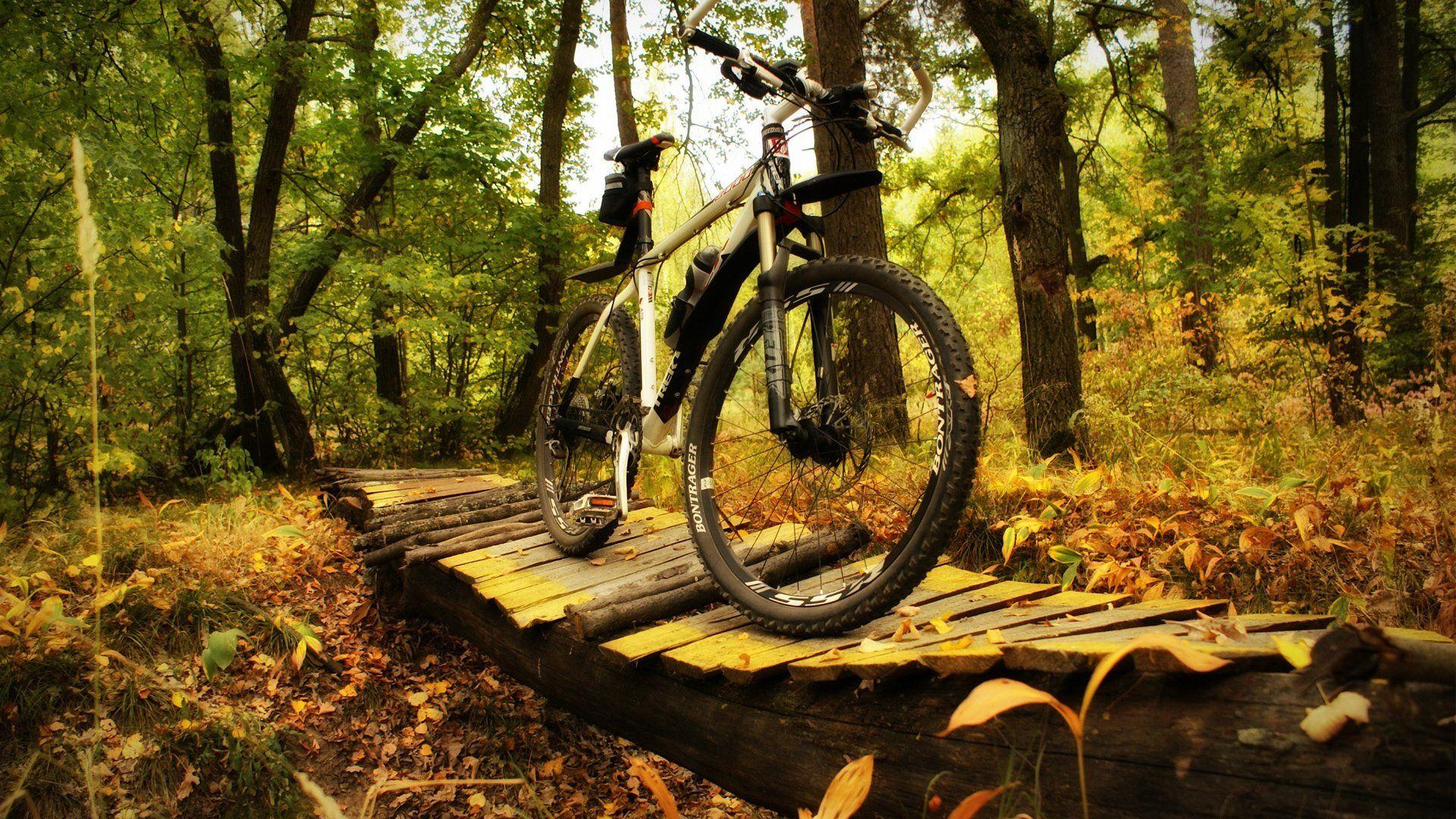 1920x1080 trek, Bicycle, Bike Wallpaper HD / Desktop and Mobile Background