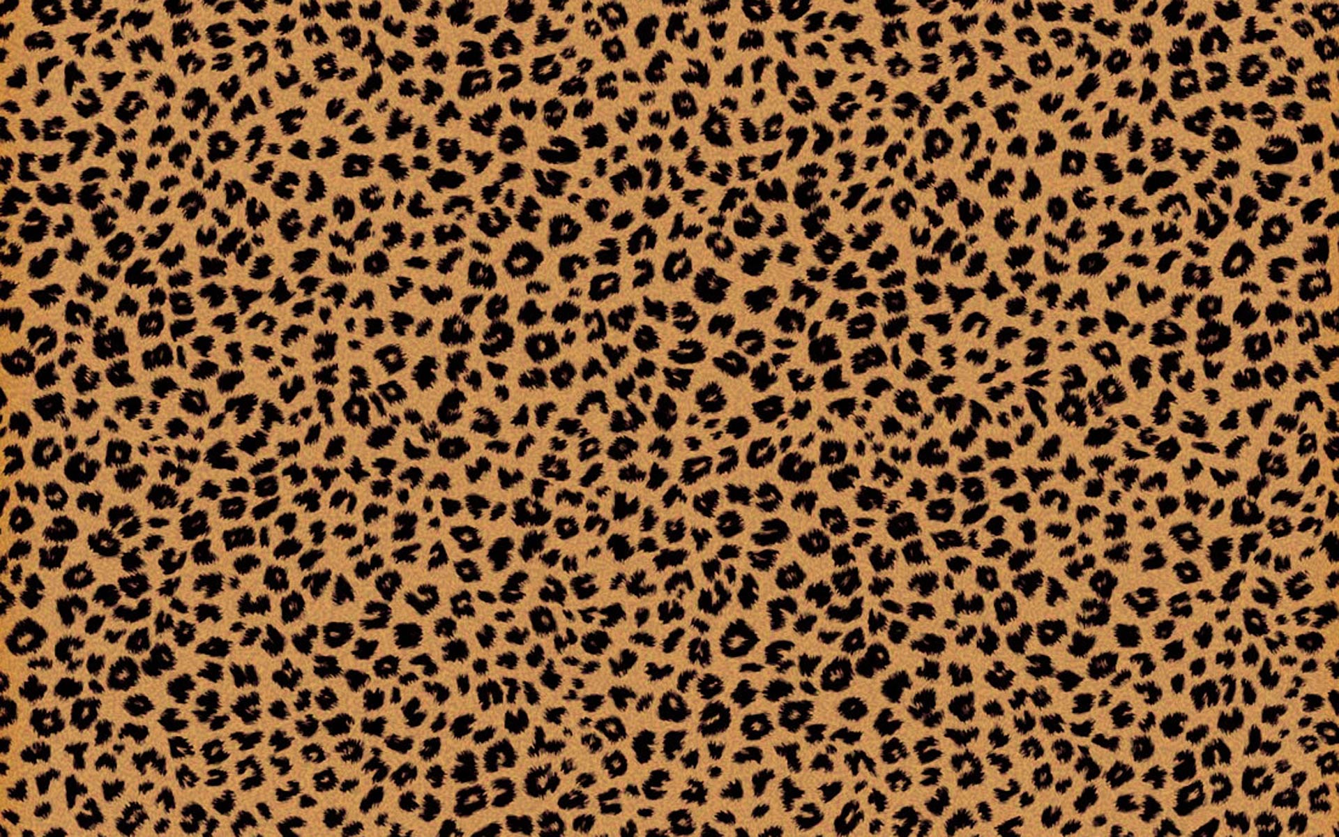 1920x1200 Leopard Print Computer Wallpaper
