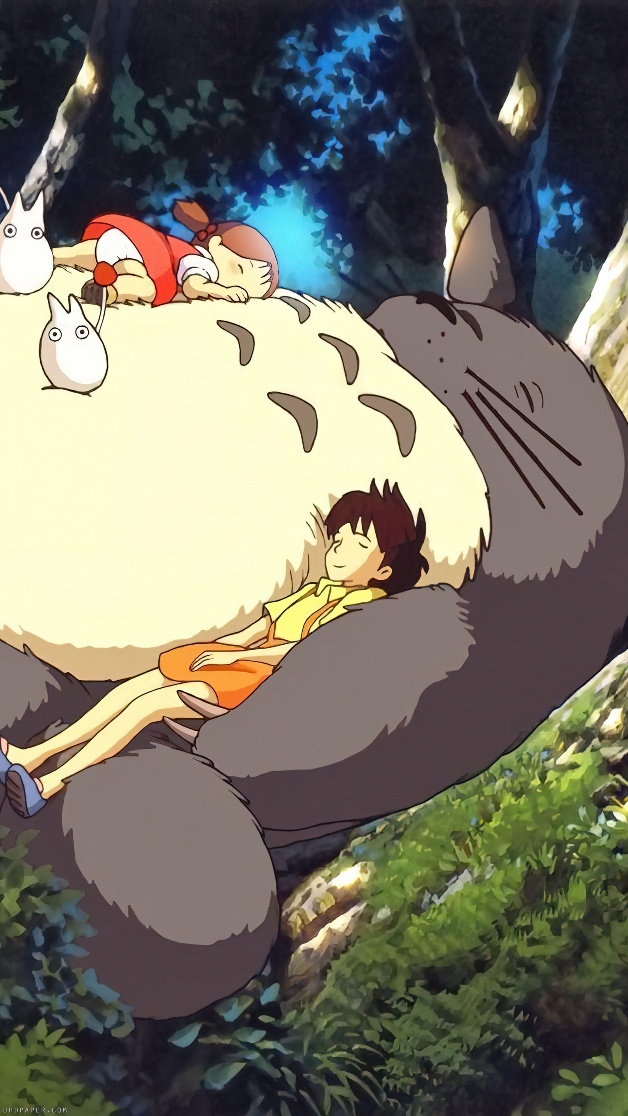 2160x3840 My Neighbor Totoro Anime Character Sleeping 4K Wallpaper iPhone HD Phone f