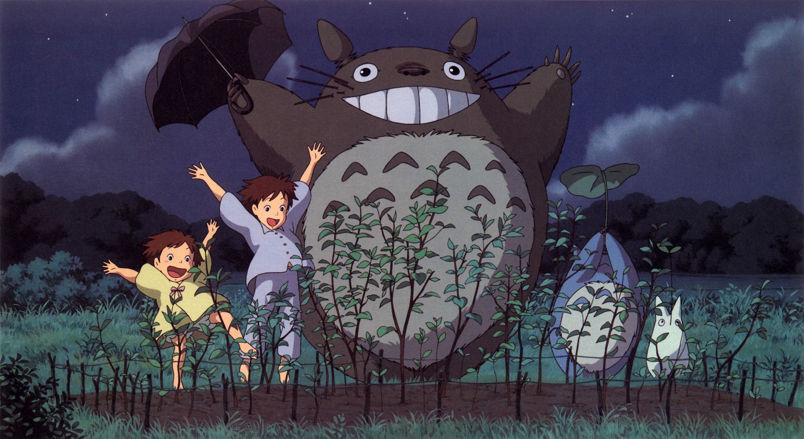 1600x874 Tonari No Totoro Wallpaper