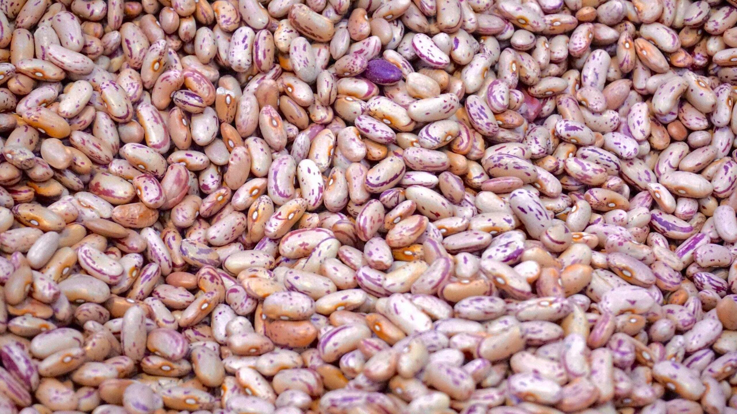 2560x1440 Swich. Blog: How to cook dried beans + easy recipes